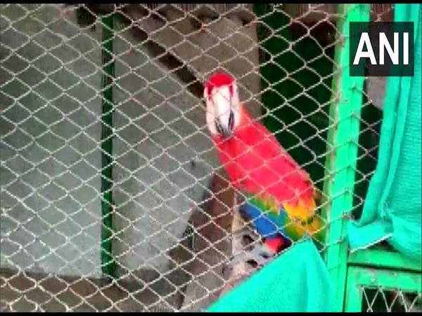 Dozens exotic animals found at Chikoti Praveens farmhouse in Telangana