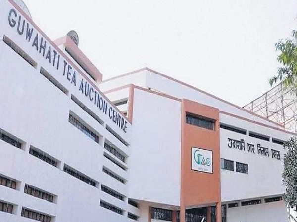 Heavy rainfall in Assam impacts tea production