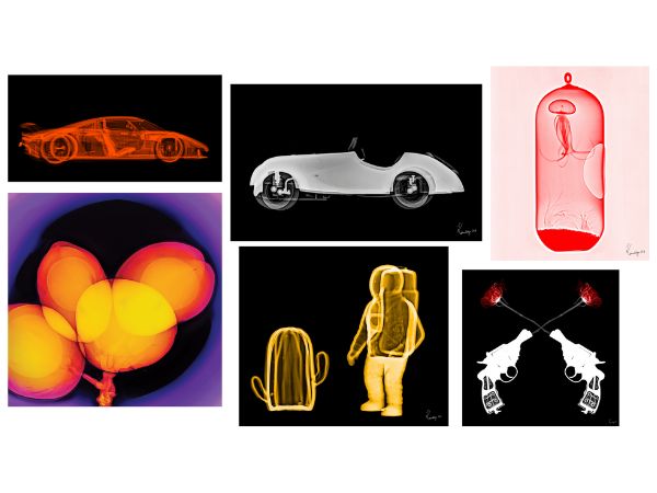 Karmaditya Baldotas X-ray art exhibition is on show at Nehru Art Center Gallery