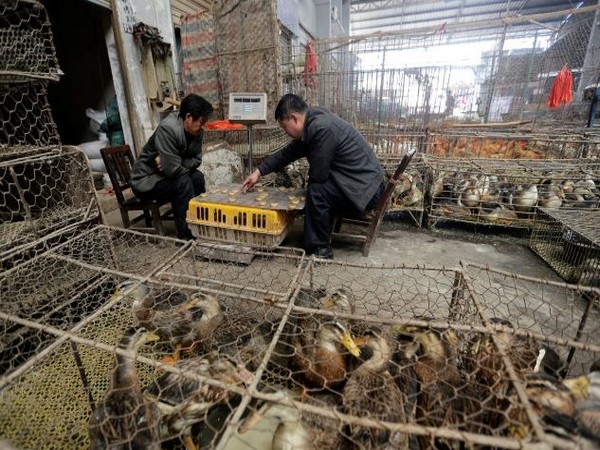 Chinas Wuhan seafood market likely cause of Covid-19 outbreak: New studies in journal Science