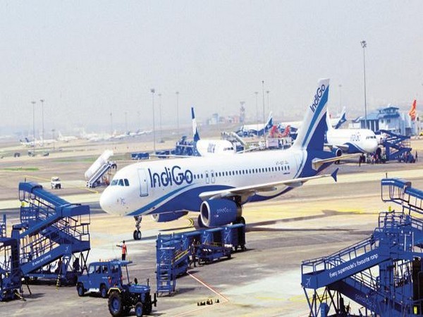 IndiGos Vadodara-bound flight diverted to Jaipur after vibrations in engine