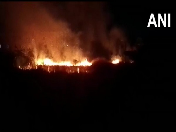Fire breaks out in West Bengals Kandi forest area