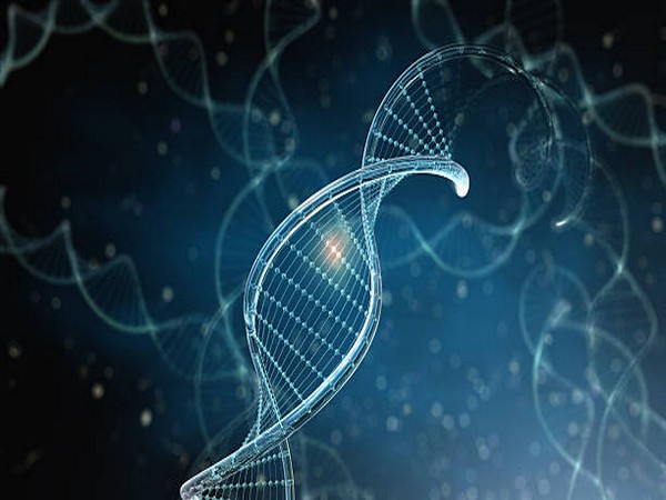 Scientists create synthetic DNA in order to examine architect genes