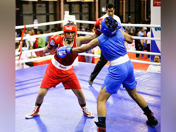National Youth Boxing Cships: 11 Haryana women boxers reach semis, SSCB dominance continues
