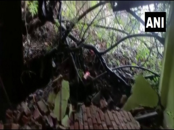 Maharashtra rains: Landslide hits Mumbais Ghatkopar area, house collapses