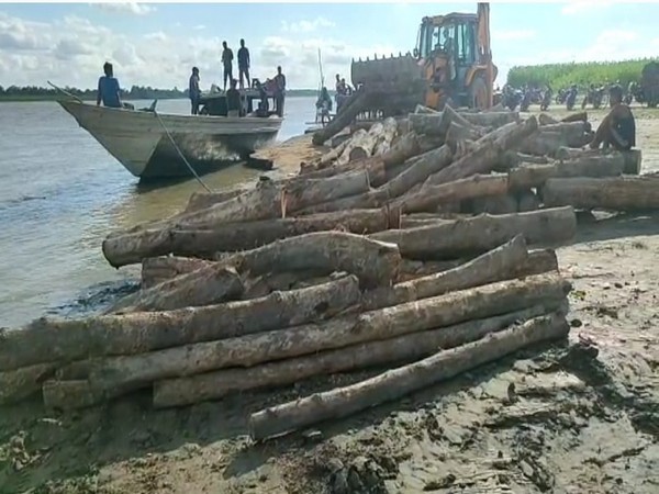 Forest officials seize illegal timber in Assams Barpeta