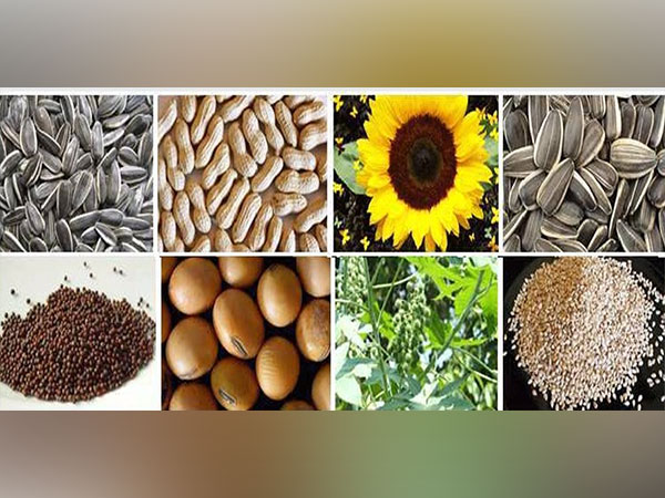 Indias oilmeal exports jump 35 pc so far in 2022-23