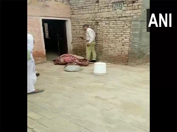 Sadhu found dead in Rajasthans Hanumangarh; probe underway