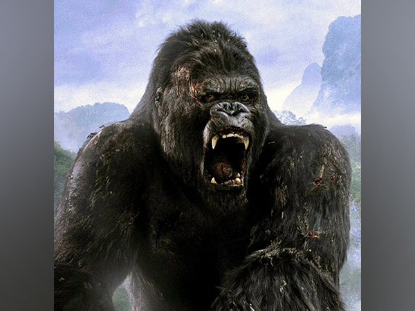 King Kong live-action series in works