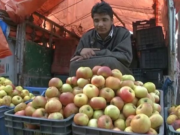 Himachal Pradesh farmers sell 7,500 tonnes of apples to AAFL