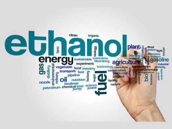 SIAM hosts master class to learn from US experience on ethanol blending