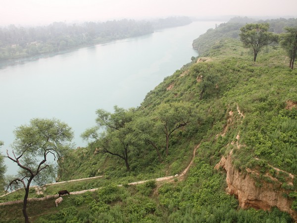 Seven youths from Punjab drown in Himachals Gobind Sagar lake