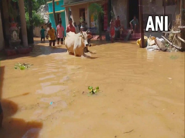 Life comes to standstill in Odishas Bhadrak due to flood situation