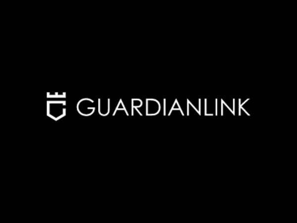 GuardianLinks Meta Cricket League Finale witnesses exceptional response