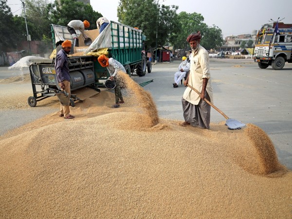 Pakistan refuses Russias wheat offer to save USD 1.4 million amid food scarcity