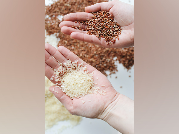 Latest estimate shows Indias foodgrain production to be record high in 2021-22